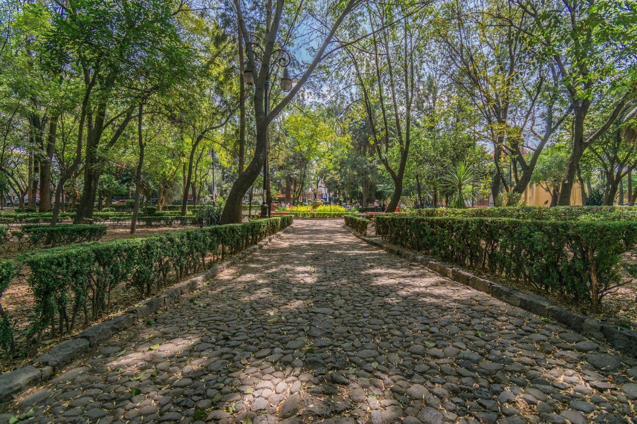 Fl 59 Coyoacan At Your Doorstep! Cidade do México Exterior foto